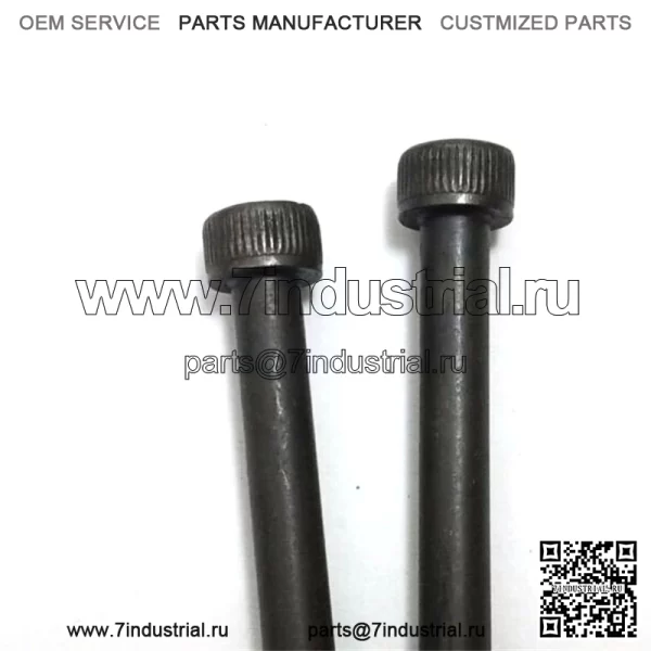 725538755, 7255387-55 100% новые оригинальные винты OEM, 2 шт.