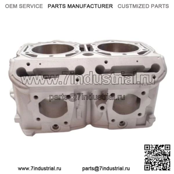 OEM Ski Doo 850 Etec MXZ Freeride Снегоход 6413300 Цилиндр