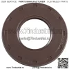 420931284 Сальник Expedition Renegade Grand Touring MXZ Summit