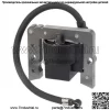 Твердотельный модуль катушки зажигания для Tecumseh 34443 34443A 34443B 34443C 34443D - Image 4