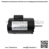 Сменный двигатель подкачивающего насоса для бассейна для PB4-60 B625 3/4HP 3450 об/мин 115/230 В - Image 4
