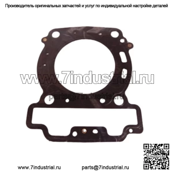 Прокладка головки блока цилиндров Can Am OEM OEM, двигатели 330 500 650