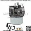 Карбюратор подходит для двигателя Briggs & Stratton Intek 190 214706T - Image 2