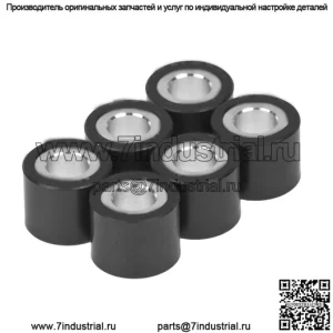 Ролики вариатора 16х13 / грузики - 14,00 г, 6 шт.
