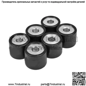 Ролики/грузики вариатора 19х17 - 6,10г, 6шт.