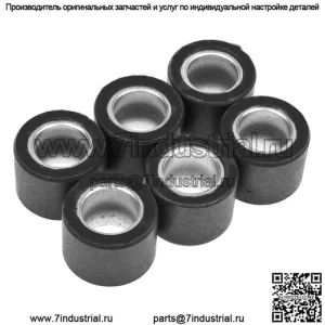 Ролики/грузики вариатора 25х22,2 - 28,00г, 6 шт.