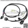 Жгут проводов для Honda FourTrax 300 TRX300 TRX300FW 2x4 4x4 1997-2000 (Для: Honda)
