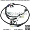 Жгут проводов для Honda FourTrax 300 TRX300 TRX300FW 2x4 4x4 1997-2000 (Для: Honda) - Image 2