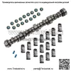 Для 99-13 GM Truck Stage 3 LS Silverado Sierra Truck Cam Cam Kit 4,8 5,3 6,0 - Image 2