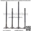 Впускные и выпускные клапаны двигателя подходят для VW R32 Touareg CC Passat AUDI Q7 3.2 3.6 V6 - Image 2