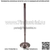 Впускные и выпускные клапаны двигателя подходят для VW R32 Touareg CC Passat AUDI Q7 3.2 3.6 V6 - Image 4