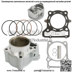 Комплект прокладок поршня головки блока цилиндров для Kawasaki KLX250 R/S/SF KLX300R